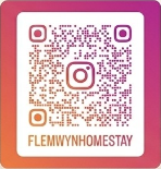 Instagram QR